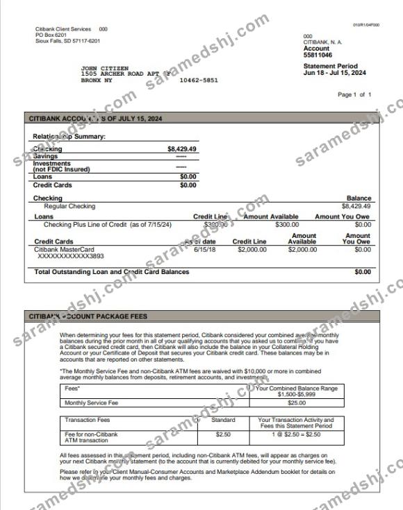 USA Citibank statement Word and PDF example, version 3
